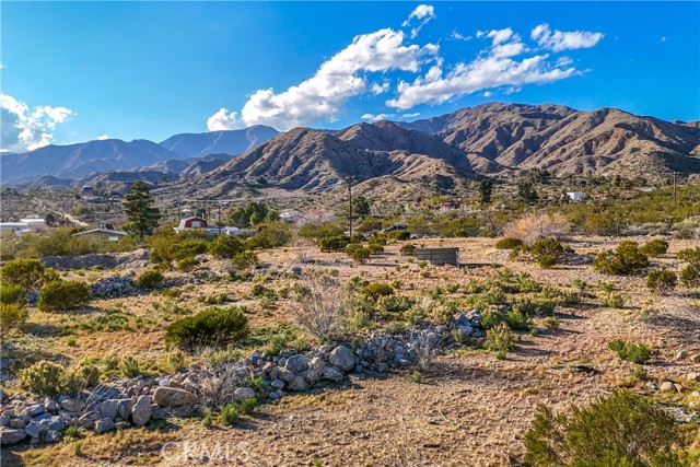 Detail Gallery Image 62 of 70 For 8949 Desert Willow Trl, Morongo Valley,  CA 92256 - 3 Beds | 2 Baths