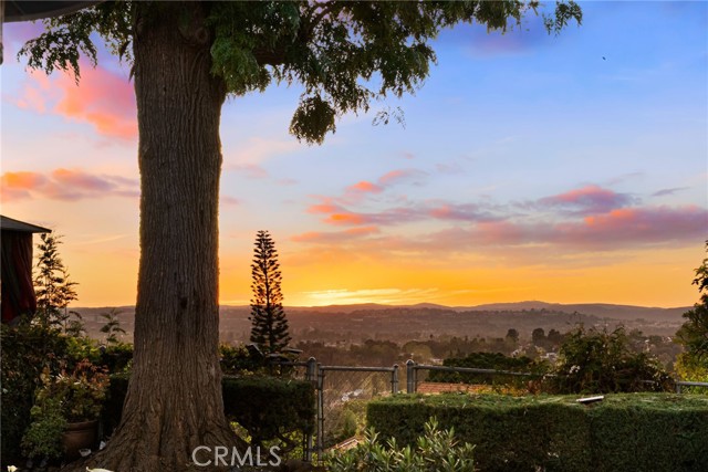 Image 58 of 70 For 24811 Spadra