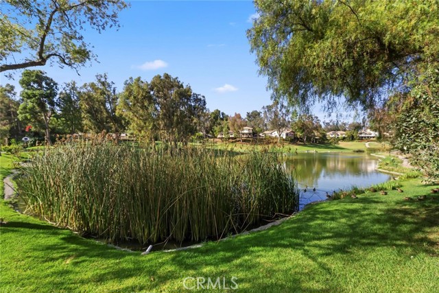 Detail Gallery Image 59 of 71 For 653 N Buttonbush Trl, Orange,  CA 92869 - 3 Beds | 2 Baths
