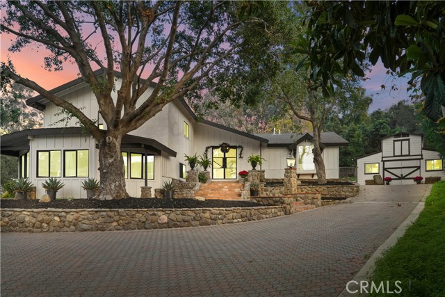 Front Image Thumbnail for CROC25273698