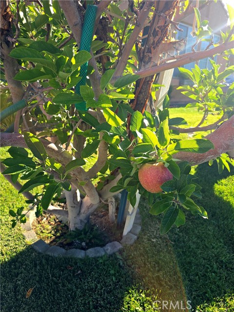 5034 Marseilles Court, Palmdale CA: https://media.crmls.org/medias/ca80c68a-069e-4a3d-8580-ad1b2af9fcb0.jpg