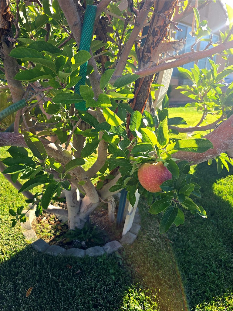 https://media.crmls.org/medias/ca80c68a-069e-4a3d-8580-ad1b2af9fcb0.jpg?preset=X-Large