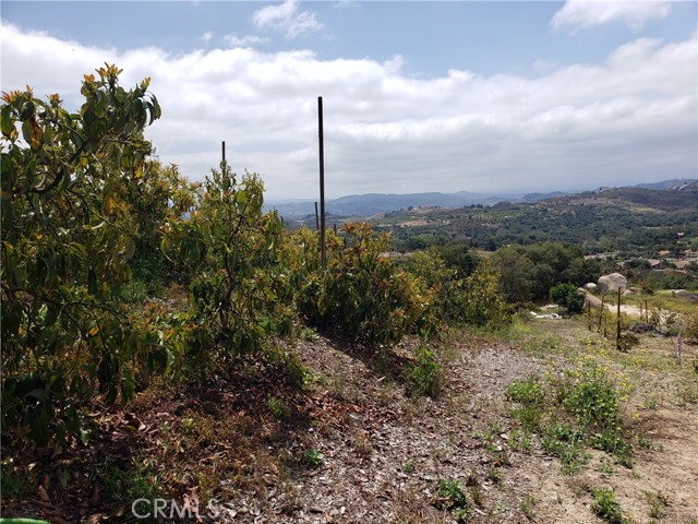 43580 Calle Colina, Temecula, CA, 92590 43580 Calle Colina, Temecula, CA, 92590