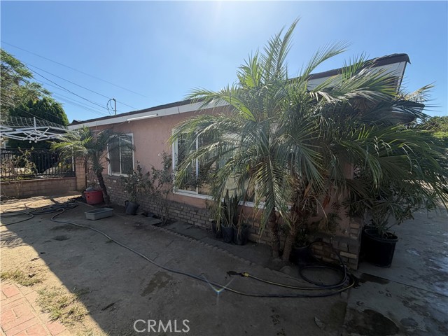 12366 Magnolia photo 2