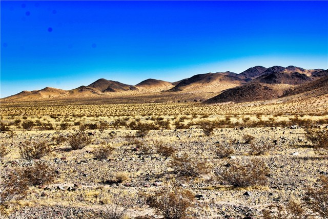 Detail Gallery Image 16 of 42 For 75777 Riverside Rd, Newberry Springs,  CA 92365 - – Beds | – Baths