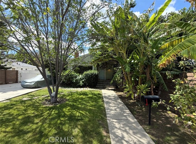 Front Image Thumbnail for CRSR26073214