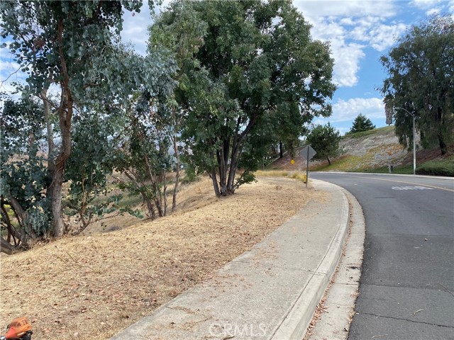 0 Calle Los Arboles, Spring Valley, California 91978, ,Residential Land,For Sale,Calle Los Arboles,AR24148155