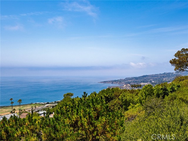 3528 Hightide Drive, Rancho Palos Verdes CA: https://media.crmls.org/medias/ca99395c-9ebb-4f4b-a162-cd3268d87219.jpg