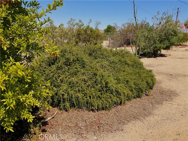 68919 Kachina Drive, 29 Palms CA: https://media.crmls.org/medias/ca9b0b90-2cd5-48f5-99ea-58c312057881.jpg