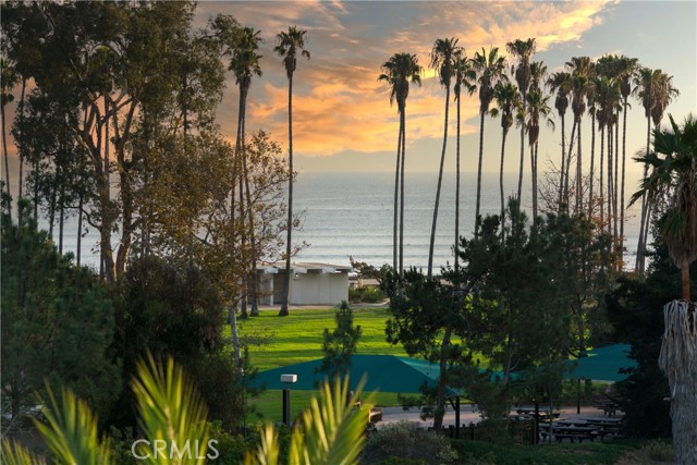 3205 Doheny Way, Dana Point, CA 92629