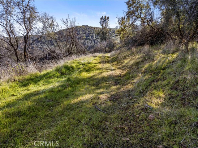 Detail Gallery Image 14 of 29 For 11390 Point Lakeview, Kelseyville,  CA 95451 - – Beds | – Baths