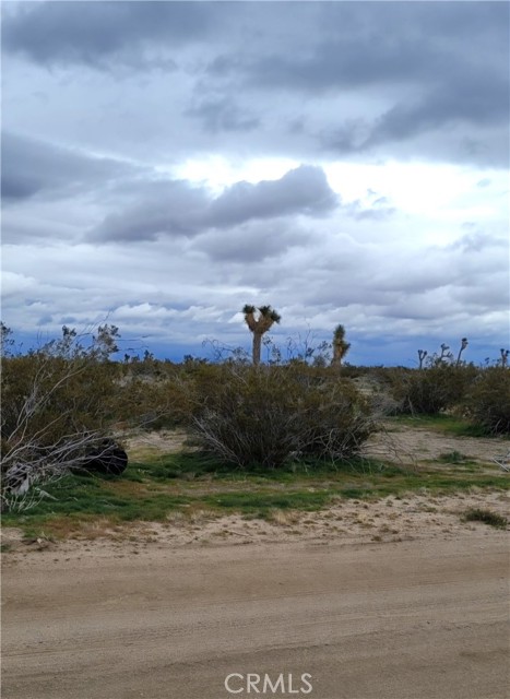 Detail Gallery Image 3 of 4 For 0 Auburn Ave, Adelanto,  CA 92301 - – Beds | – Baths