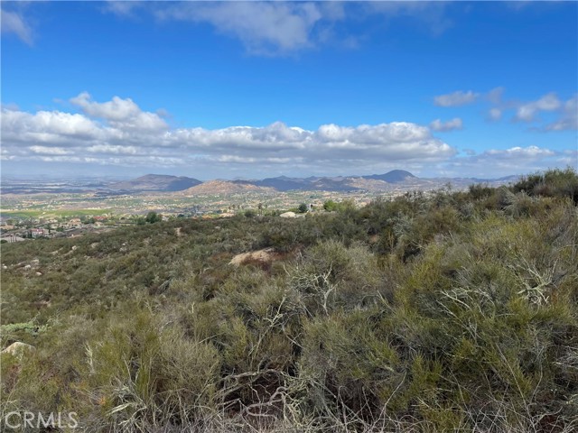 Front Image Thumbnail for CRSW26037797