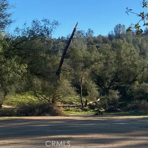 Detail Gallery Image 32 of 47 For 40461 Long Hollow Dr, Coarsegold,  CA 93614 - 3 Beds | 2 Baths