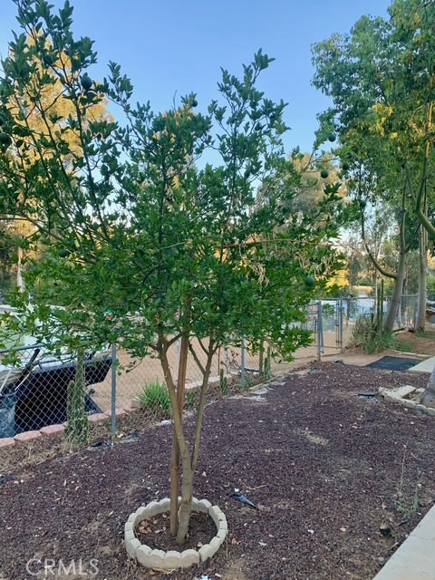 28480 Red Gum Drive, Lake Elsinore CA: https://media.crmls.org/medias/caac9737-42d8-44ac-880e-8a5089ac3b18.jpg