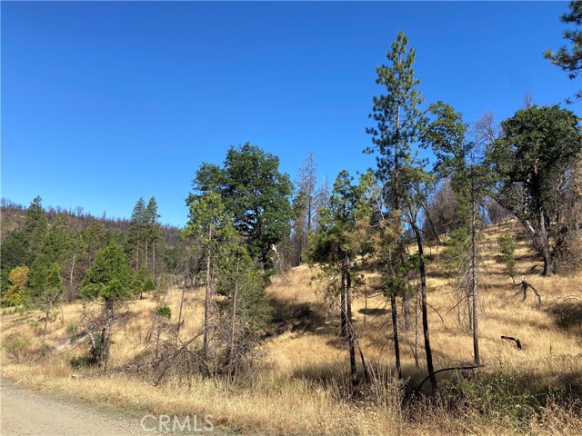 3154 Wild Dove Lane, Mariposa, California 95338, ,Land,For Sale,3154 Wild Dove Lane,CRMP23148188