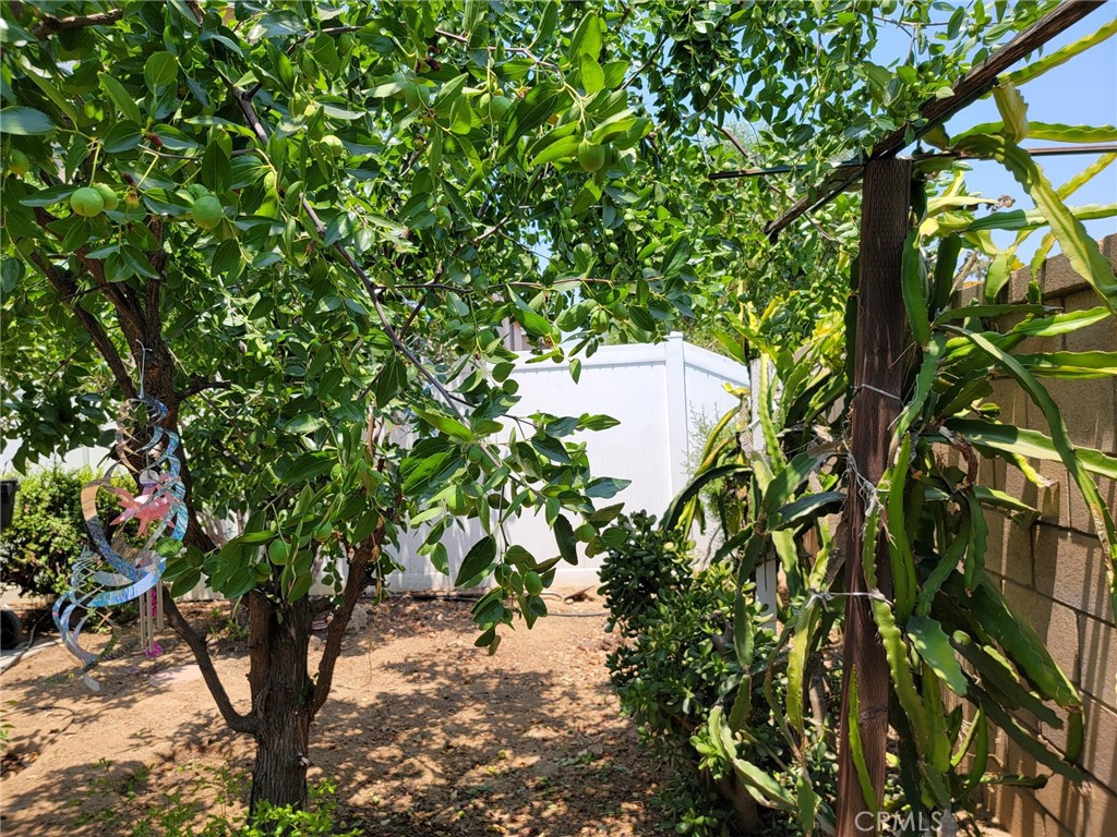 MLS #WS25271554 image #13