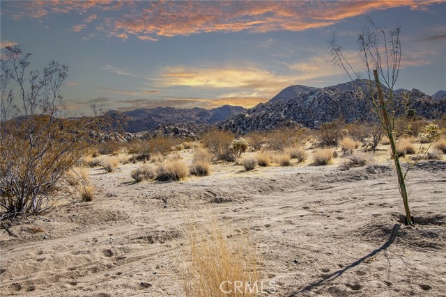 6991 Mount Lassen Avenue, Joshua Tree, California 92252, 3 Bedrooms Bedrooms, ,3 BathroomsBathrooms,Residential Lease,For Rent,6991 Mount Lassen Avenue,CRJT25013170