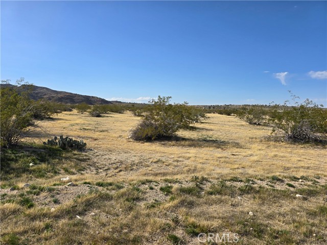 Detail Gallery Image 7 of 8 For 0 Morongo, Twentynine Palms,  CA 92277 - – Beds | – Baths