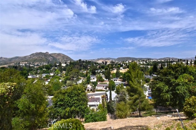 23937 Pentland Street photo 43