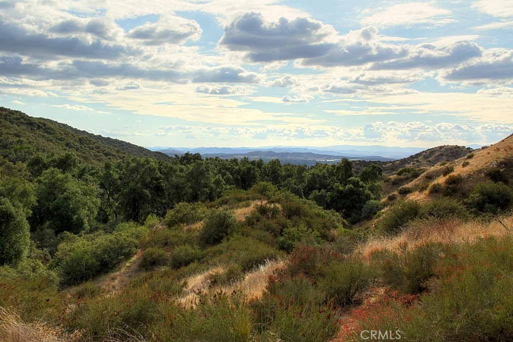 MLS #IG25034144 img 56