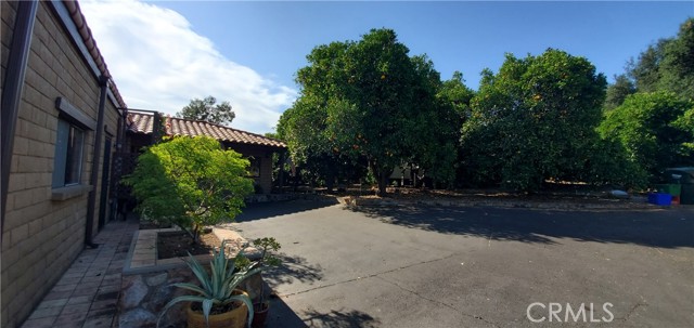 11920 Betsworth Road, Valley Center, California 92082, 3 Bedrooms Bedrooms, ,2 BathroomsBathrooms,Residential rental,For Sale,Betsworth Road,OC24116717