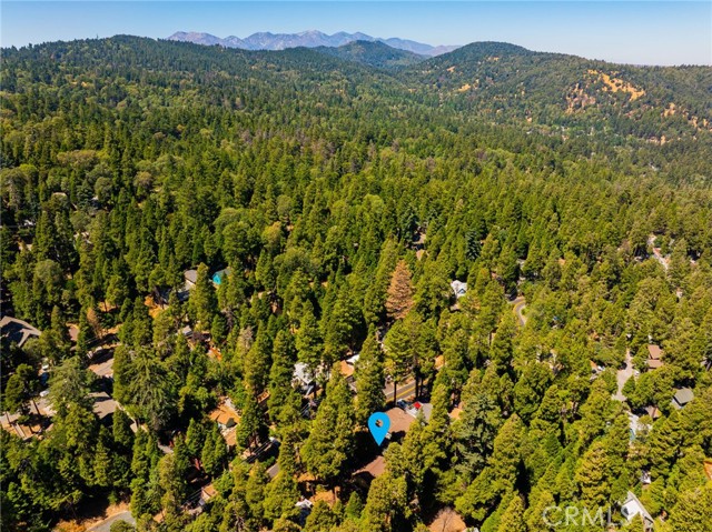 Detail Gallery Image 37 of 46 For 693 Ca 138, Crestline,  CA 92325 - 3 Beds | 2 Baths