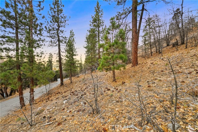 Detail Gallery Image 8 of 28 For 1237 Ridge Rd, Fawnskin,  CA 92333 - – Beds | – Baths