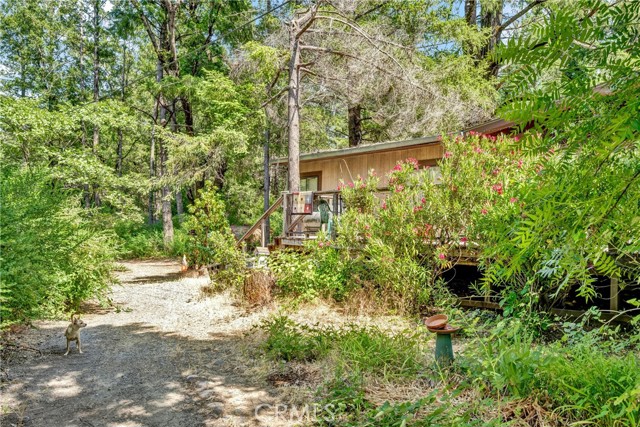 22550 Shady Grove Road, Middletown CA: https://media.crmls.org/medias/cad25c0f-0cee-4a73-aa0f-5997acf348f5.jpg