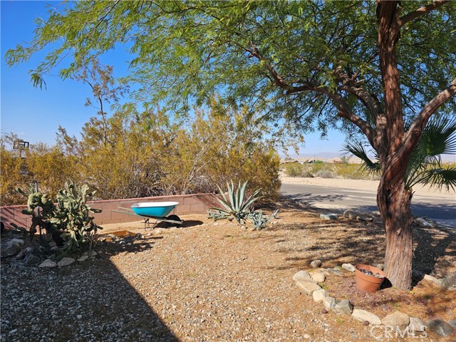 Detail Gallery Image 3 of 15 For 6790 Maude Adams Ave, Twentynine Palms,  CA 92277 - 2 Beds | 1 Baths