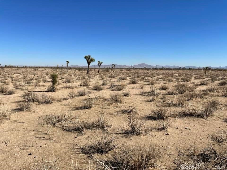 MLS #HD25000657 image #11