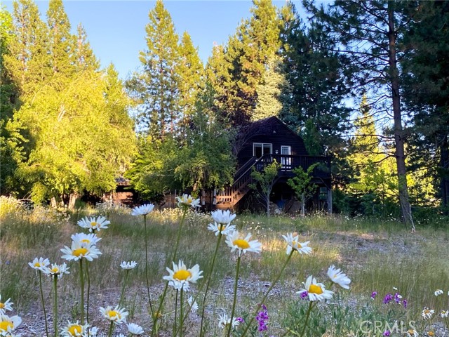 Detail Gallery Image 64 of 65 For 2737 S Old Stage Rd, Mount Shasta,  CA 96067 - 3 Beds | 2/1 Baths