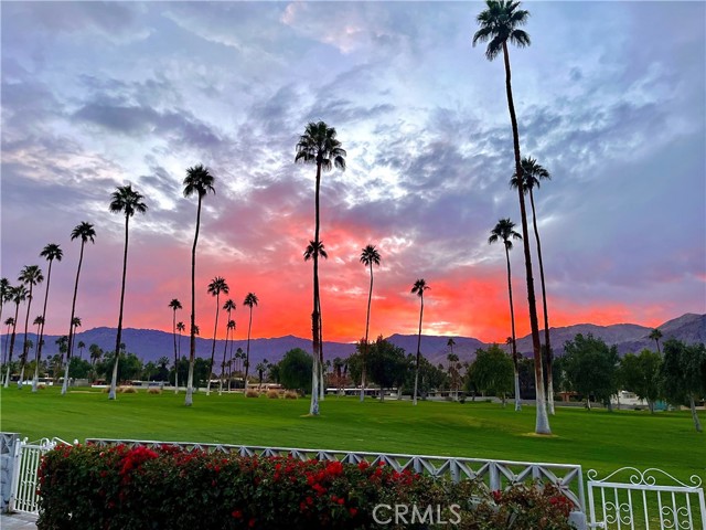 Detail Gallery Image 33 of 42 For 46125 Burroweed Ln, Palm Desert,  CA 92260 - 2 Beds | 2 Baths