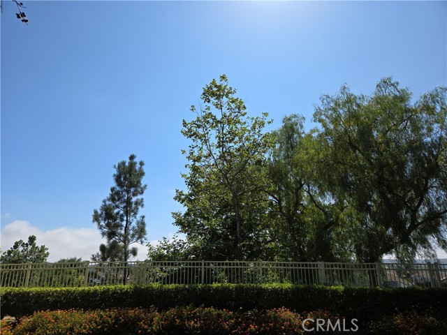 47 Red Bud, Aliso Viejo CA: https://media.crmls.org/medias/cae6ee60-db1e-4294-a7b0-66cdd10b4412.jpg