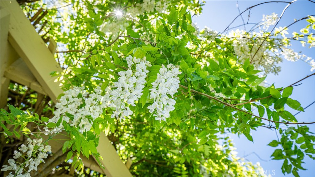 https://media.crmls.org/medias/cae87ae5-af89-4c8d-99a3-2ebd09995074.jpg?preset=X-Large