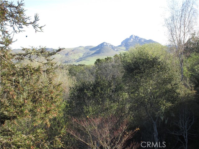 Detail Gallery Image 7 of 9 For 1564 Nipomo, Los Osos,  CA 93402 - 3 Beds | 2 Baths