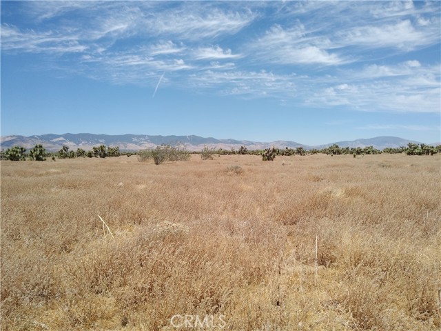 0 Ave A & 243rd St West, Rosamond, California 93560, ,Land,For Sale,0 Ave A & 243rd St West,CRSR23203513