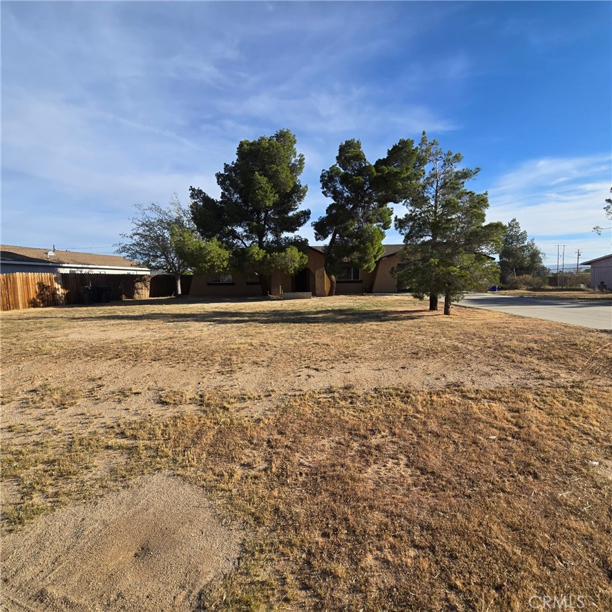 11427 Cibola