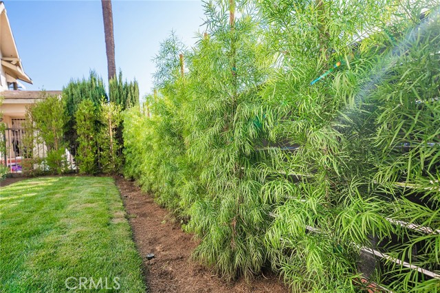 Detail Gallery Image 62 of 65 For 1348 W 41st Pl, Los Angeles,  CA 90037 - – Beds | – Baths