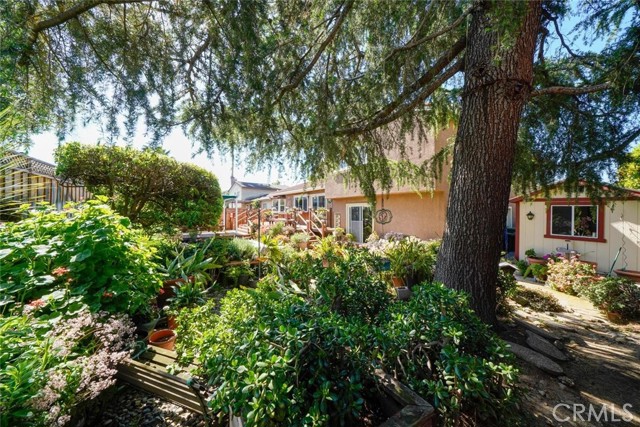 Detail Gallery Image 23 of 25 For 744 Salt Lake Dr, San Jose,  CA 95133 - 4 Beds | 2/1 Baths