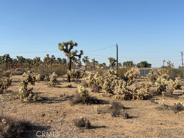 MLS #JT25181795 image #2