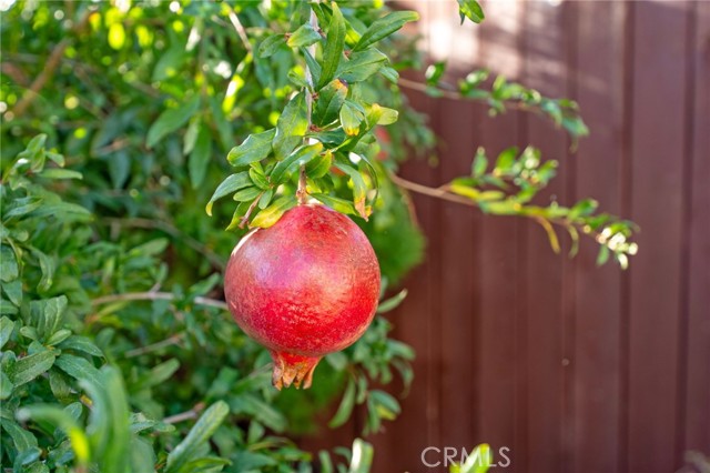 MLS #SW25242306 image #40