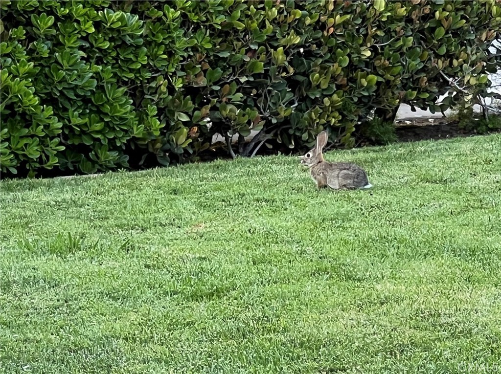 https://media.crmls.org/medias/cb00198d-2b87-43eb-9b97-55aa1d57ce1b.jpg?preset=X-Large