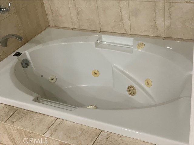 Master Bath Spa Tub