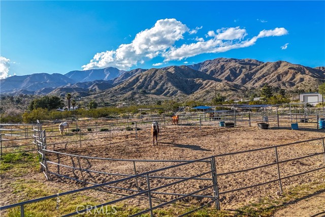 Detail Gallery Image 46 of 70 For 8949 Desert Willow Trl, Morongo Valley,  CA 92256 - 3 Beds | 2 Baths