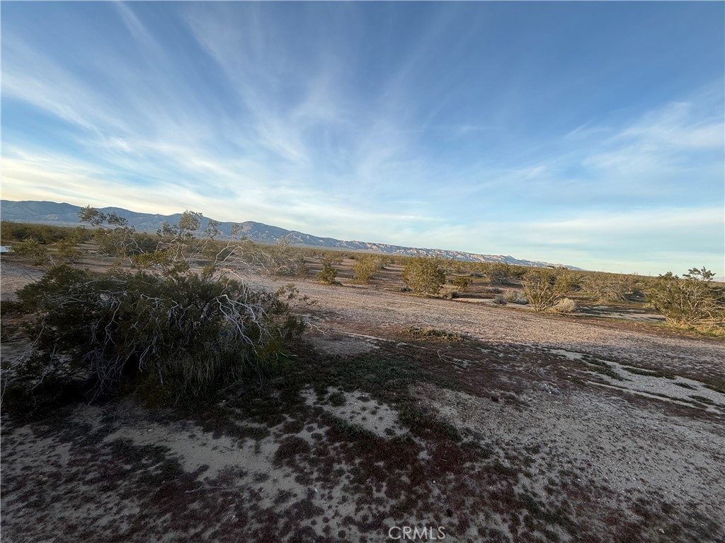 MLS #SR25271534 image #5