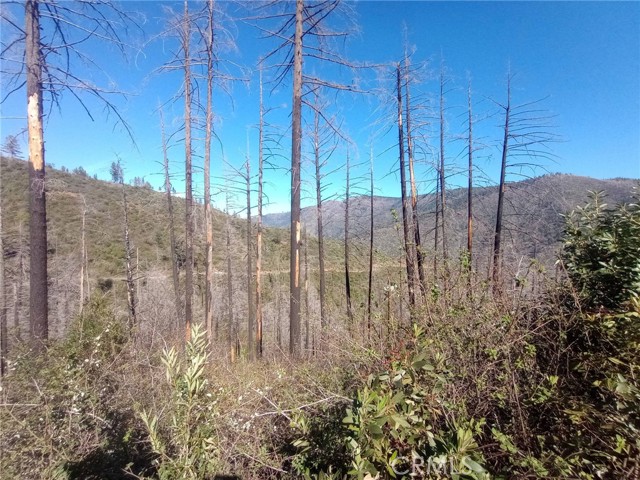 Image 28 of 33 For 0 Bardees Bar