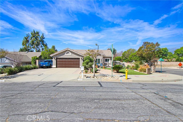 Front Image Thumbnail for CROC26067500