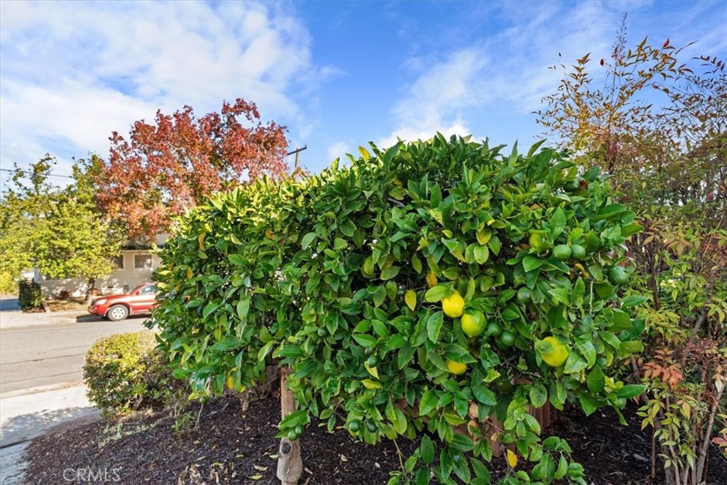 https://media.crmls.org/medias/cb0e5b00-aedb-43b2-843d-c6297b7d9686.jpg?preset=X-Large
