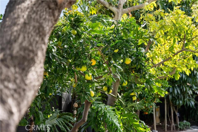 Detail Gallery Image 38 of 43 For 20442 Harbor Isle Ln, Huntington Beach,  CA 92646 - 3 Beds | 2 Baths